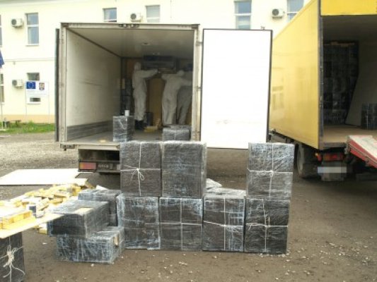 Mii de jucării, confiscate în Portul Constanţa Sud Agigea